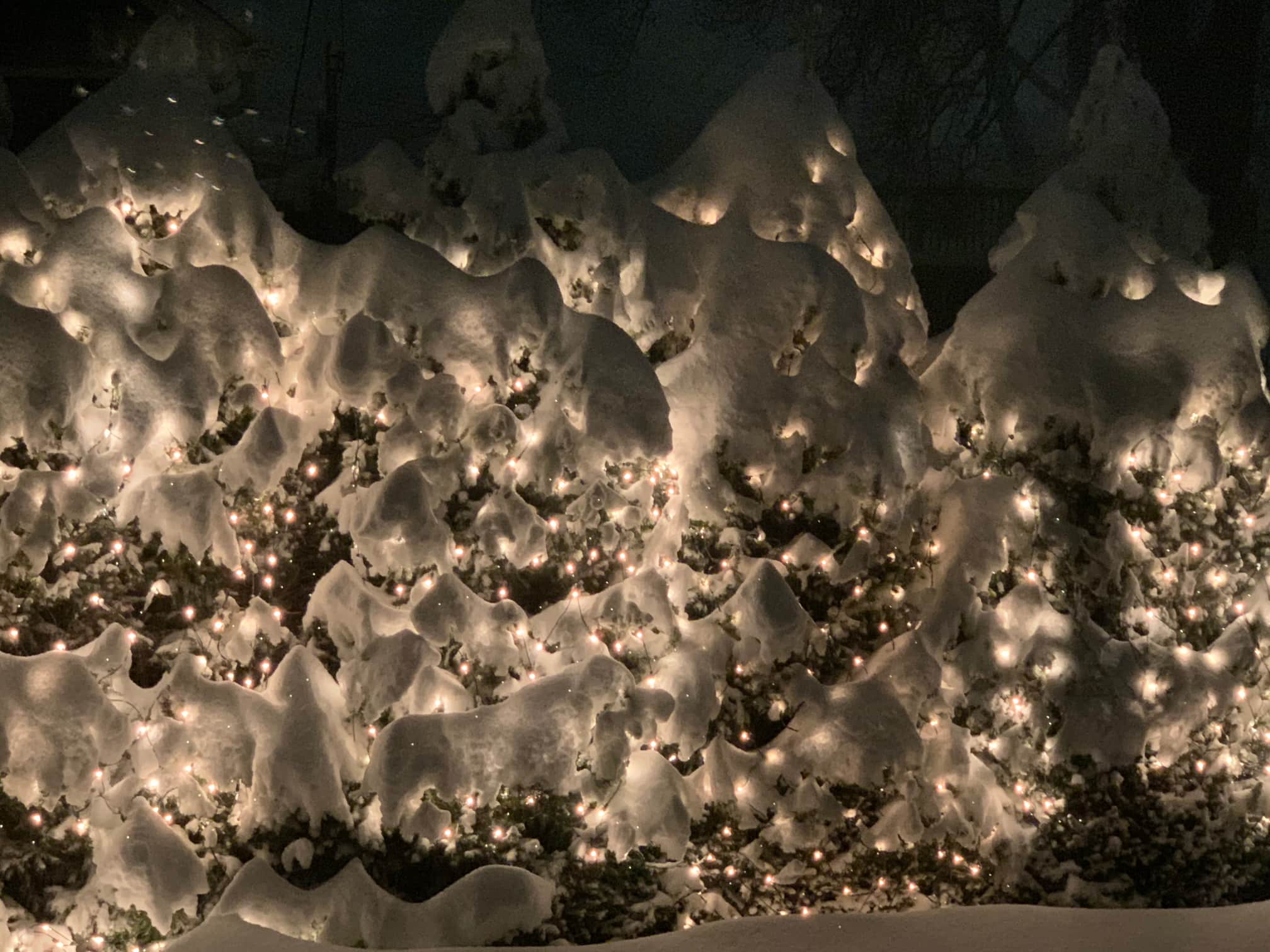 Safety First: A Home Inspector’s Guide to Holiday Lighting Safety First: A Home Inspector’s Guide to Holiday Lighting